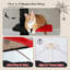 Tour pour chat réglable à 5 niveaux Cactus