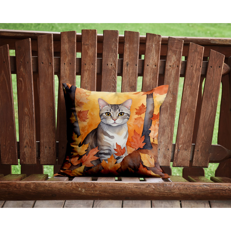 Coussin European European Shorthair, Carré 14 po