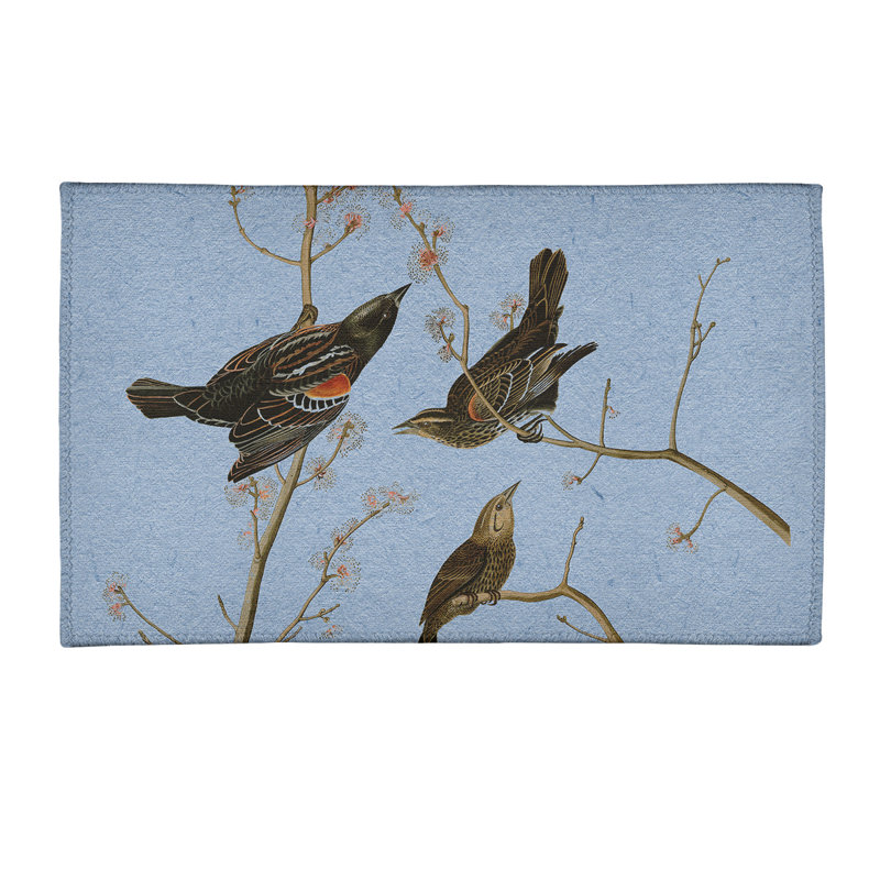 Tapis bleu/brun à oreilles starling, Rectangle 3 pi x 5 pi