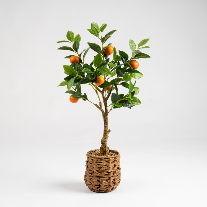 76cm Faux Orange Tree in Woven Basket