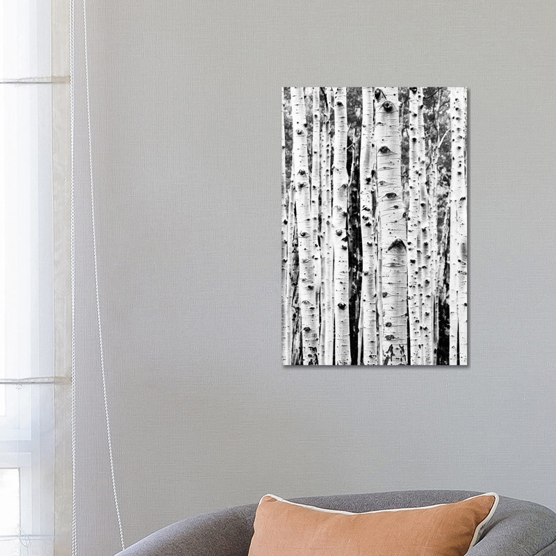 «Birch in Black & White» par Sissi & Seb - reproduction de photo sur toile tendue, H 26 po x l 18 po x 1,5 po
