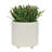 S/2 6/8" Textured Planters-1473220583