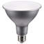 13.3 Watt White LED Bulb