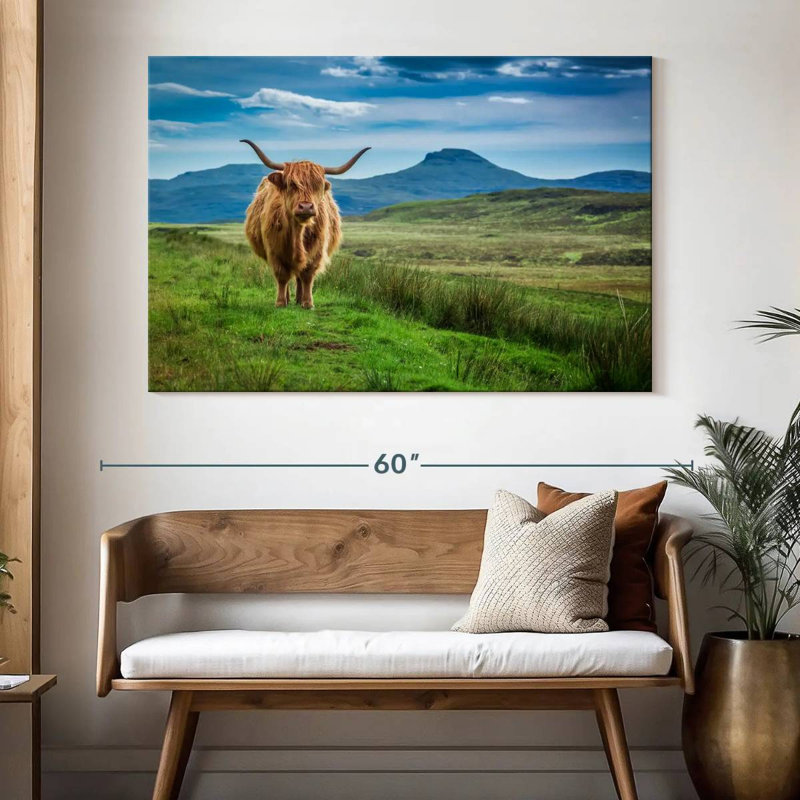 Brampt Skye Highland Cow, H 34 po x l 51 po