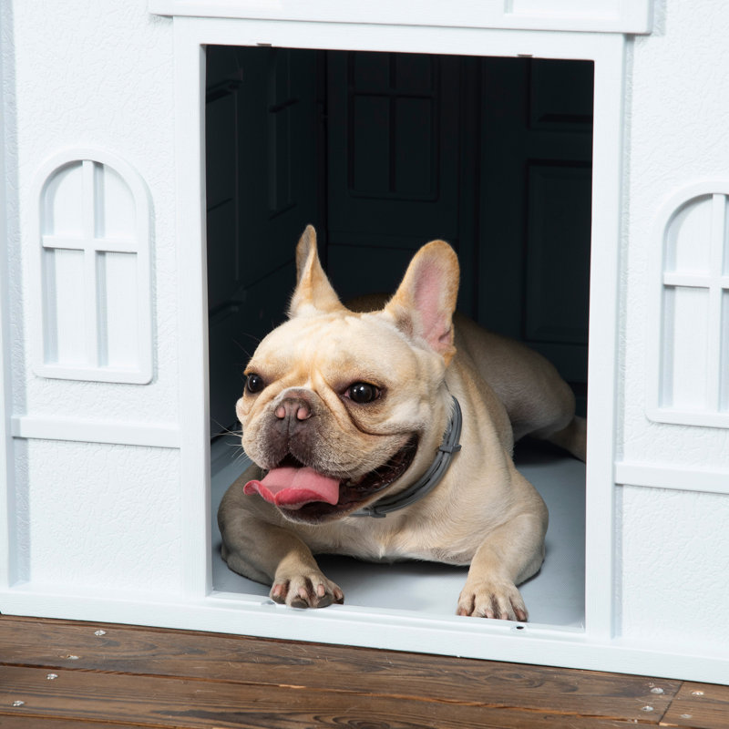 Blue Puppy Shelter - Ventilé, pour chiens de taille moyenne et petite, chien d'eau en plastique bleu chalet, races, marque