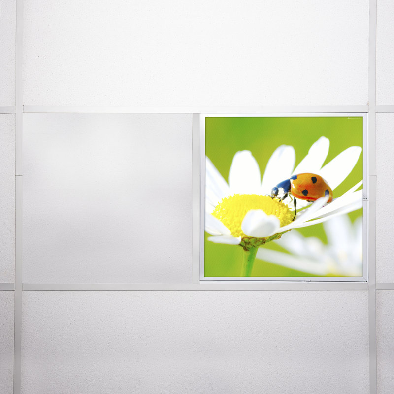 Flower Square Fixture Component Ceiling Light
