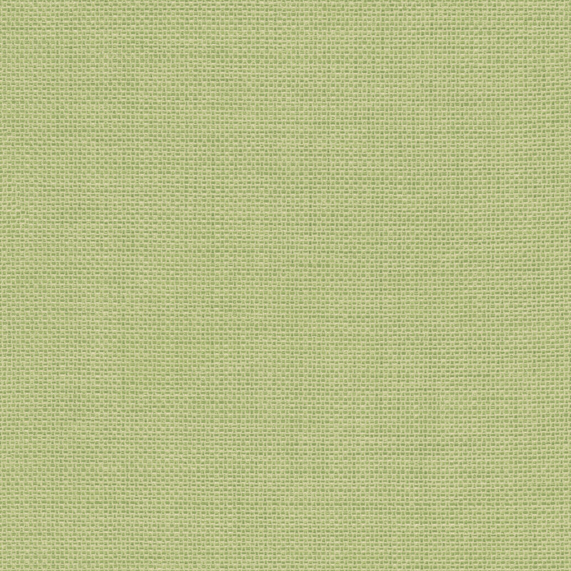 10m x 53cm Matte Wallpaper Roll, Green