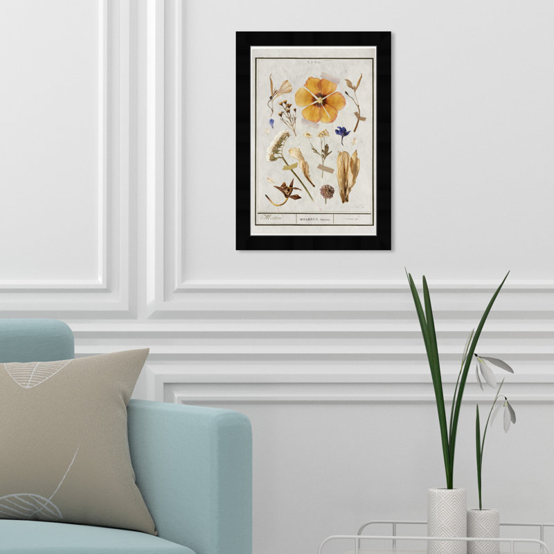 Botanical Collage by Oliver Gal, 17" H x 12" W, Black