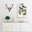 Magpie, Crow & Jay Birds by John James Audubon - Wrapped Canvas-55365139