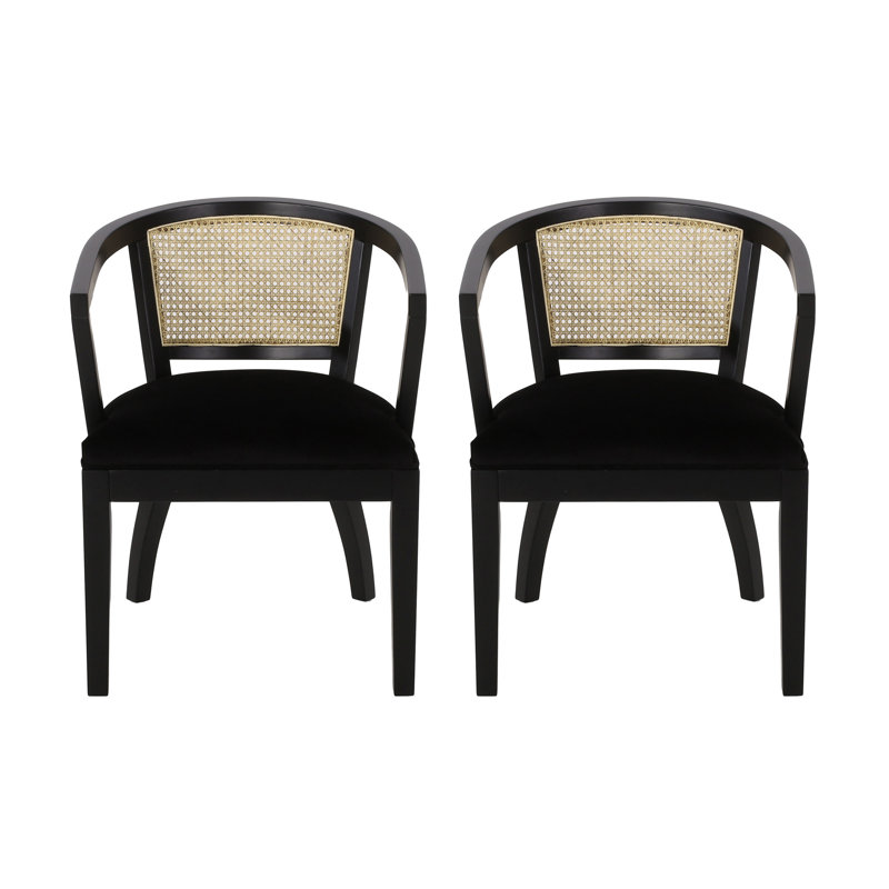 Ensemble de chaises de salle à manger à accoudoirs en velours l 23,5 po x P 21,5 po x H 30,5 po Christopher Knight Home (ensemble de 2)