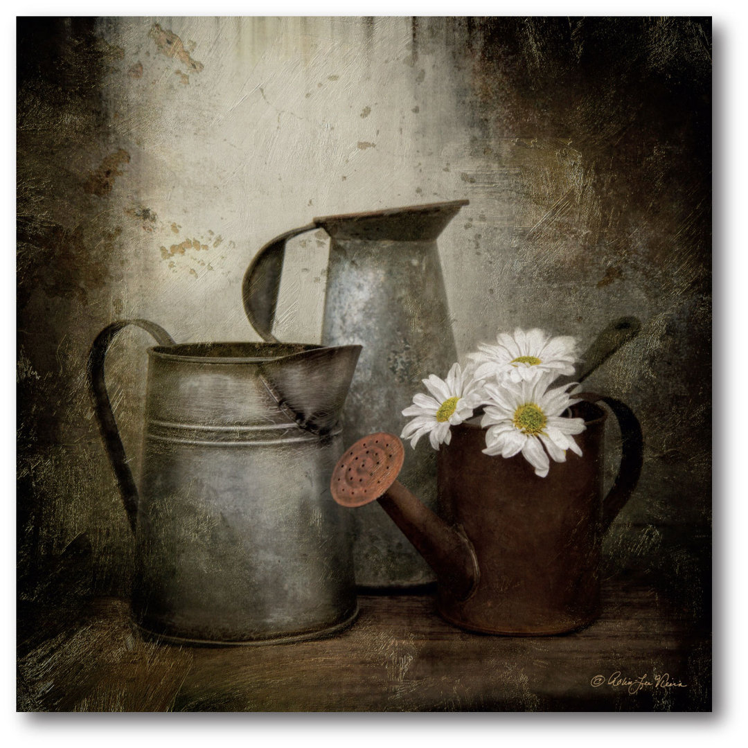 " Watering Can " Courtside Market