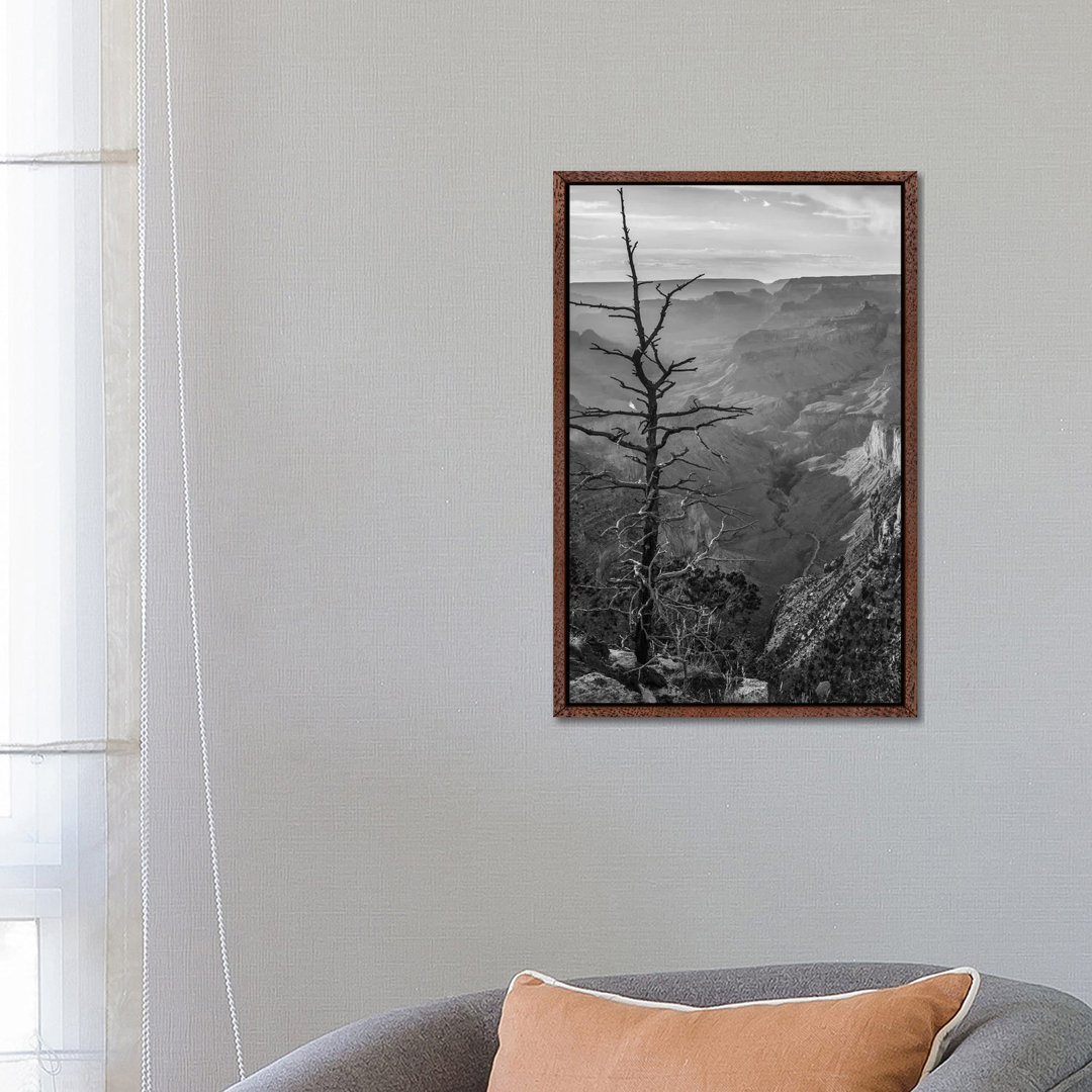 South Rim, Grand Canyon, Arizona von Tim Fitzharris - Gallery-Wrapped Canvas Giclée on Canvas