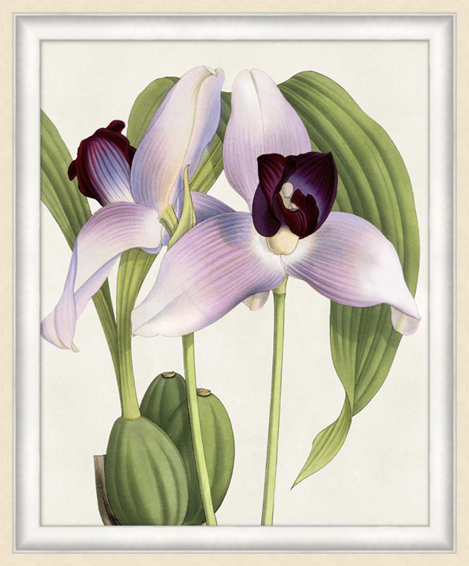 Orchidée 4 - Cadre photo, impression sur papier