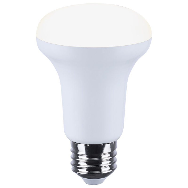 Étoile de mer 6 W à DEL R20 2700 K - 5000 K RVBBT à culot moyen 120 V