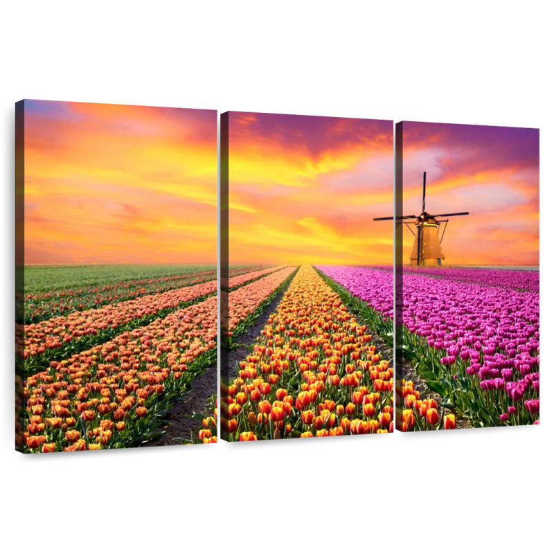 Alvord Sunrise Tulip Flower Field, 42" H x 65" W