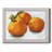 " Citrus Grouping I "-307740079-313185230