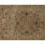 Wool Oriental Area Rug in Gray