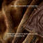 Couverture luxueuse en fausse fourrure-111710108-111710110