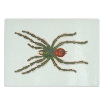 Tempered Glass Tarantula Illustration by Charles D' Orbigny Chopping Board