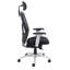 Executive Chair with Headrest