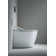 Wall Mounted Toilet Bowl for Sensowash Dual Flush