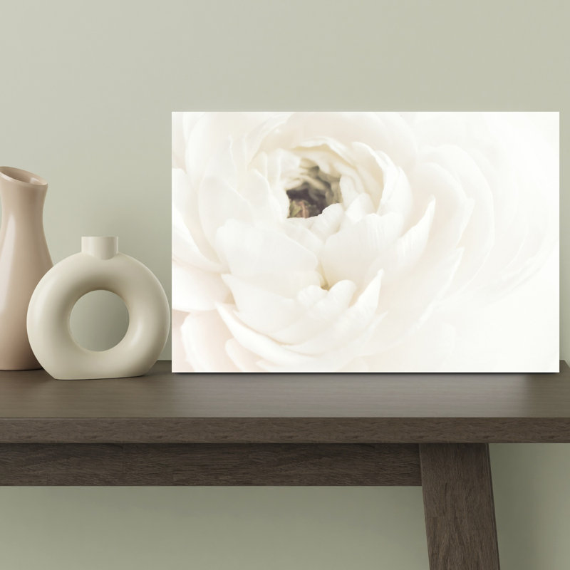 Soft White Bloom Delicate Elegant Romantic Flower Nature Wall Art Print by Pictufy Studio III - Wrapped Canvas Print
