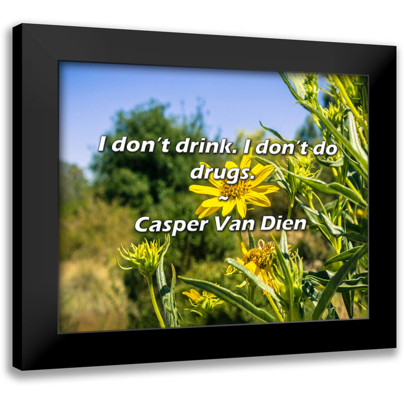 Citation de Casper Van Dien: Je ne bois pas. Je ne me drogue pas.