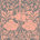 Peachy Pink/Grey
