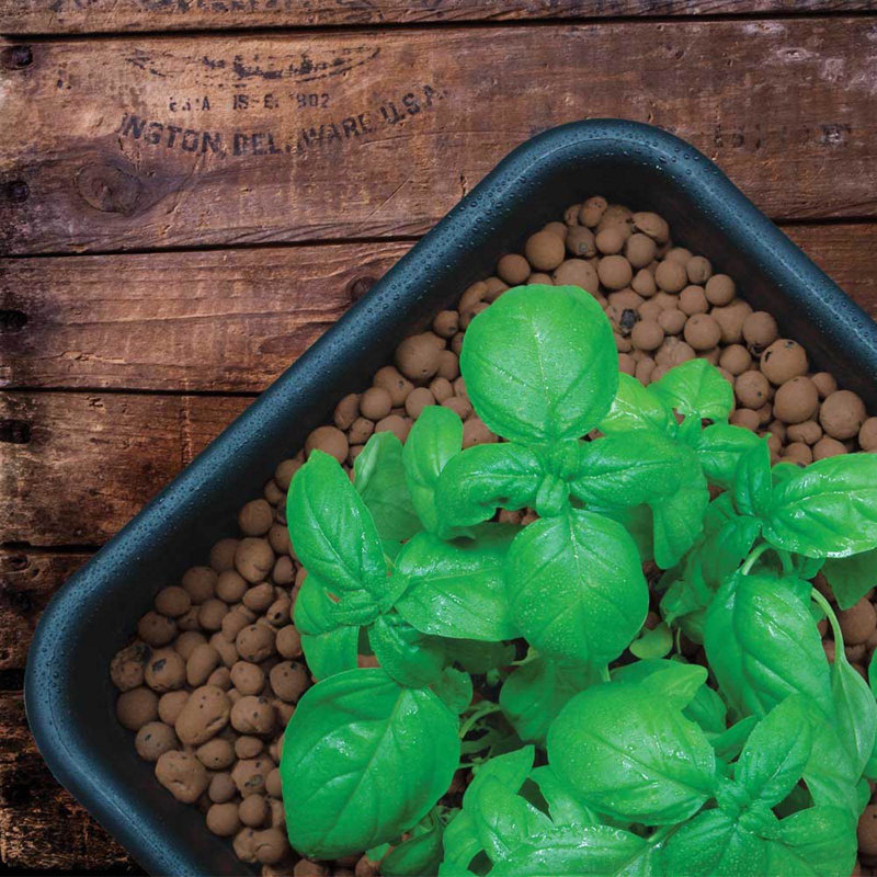 Hydrofarm Growing Kit Fruits / Vegetables