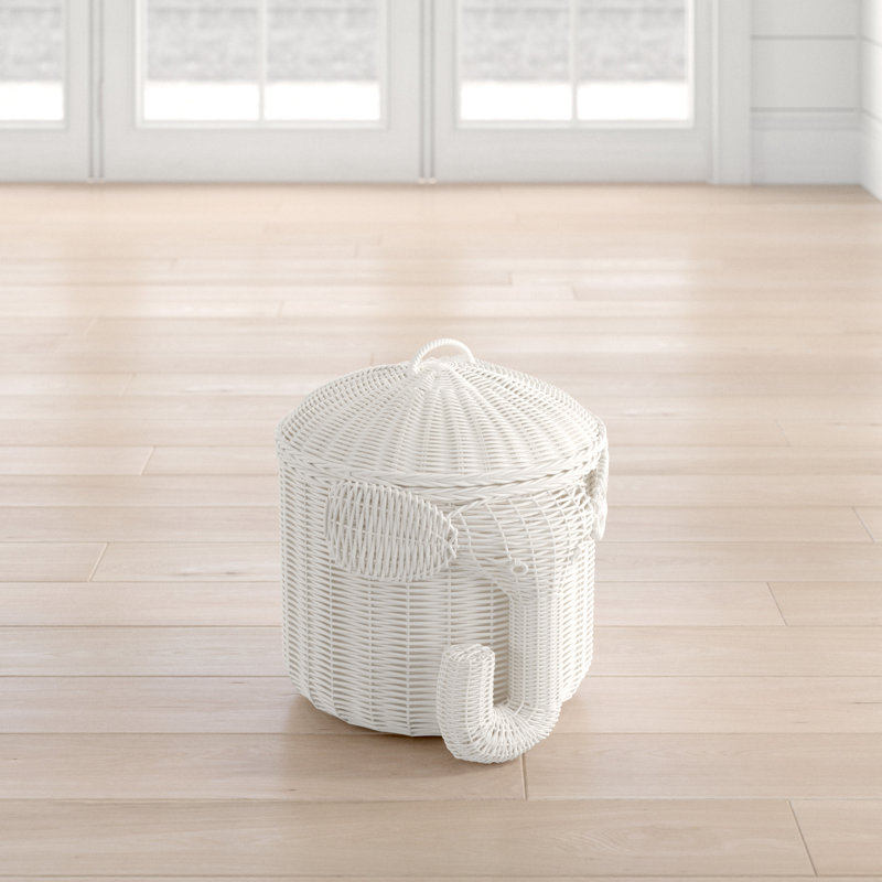 Bayou Breeze Quamba Wicker Decorative Basket