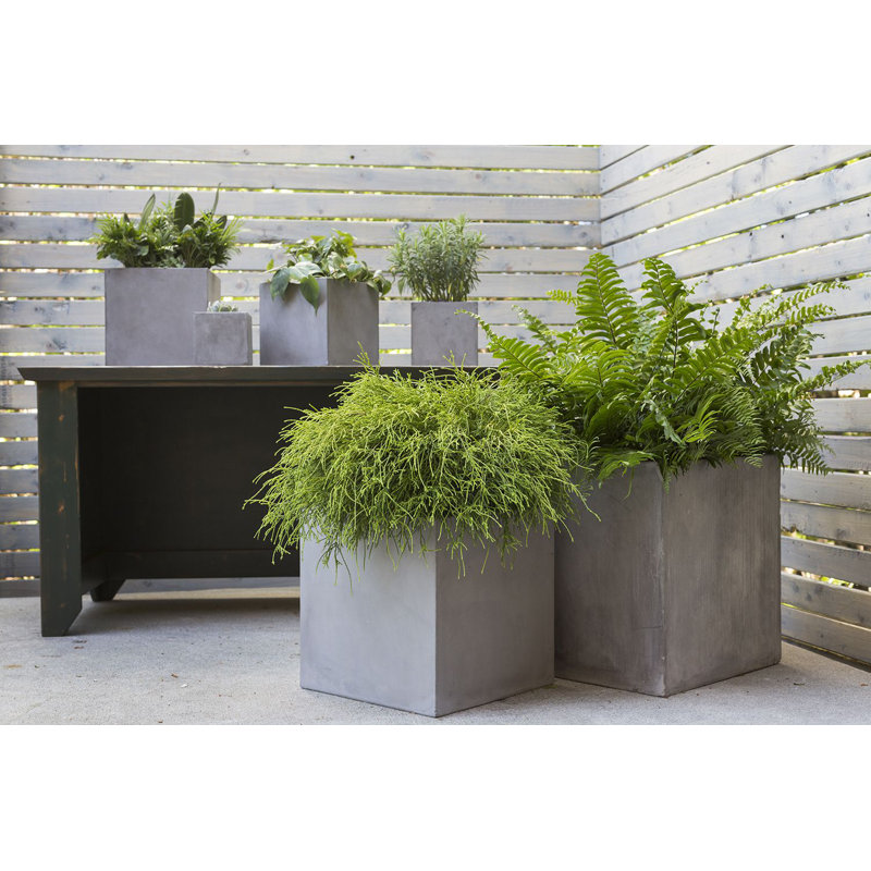 Planter Box