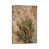 Wrapped Canvas selected