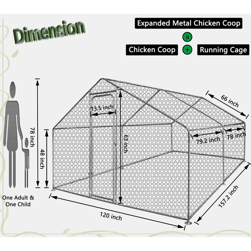 Zed 66 Square Feet Chicken Run For Up To 8 Chickens