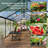 8X12 FT Greenhouse For Outdoors, Walk-In Polycarbonate Greenhouse-121972806