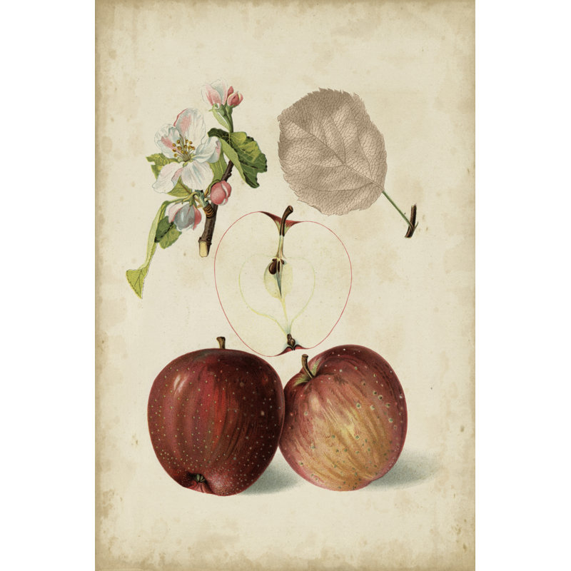 «Harvest Apples I», peinture sur toile, H 18 po x l 12 po