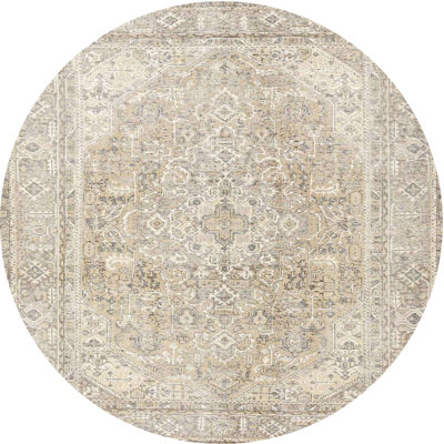 Oriental Indoor Rug