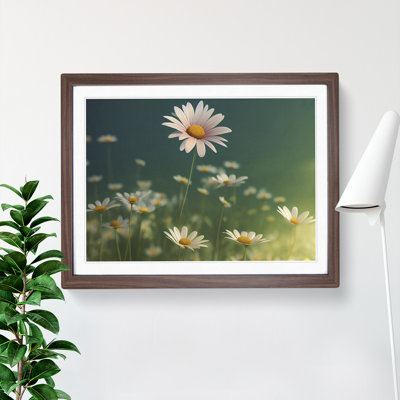 Beauteous Daisy Flowers 1 Piece Single Picture Frame Wall Art