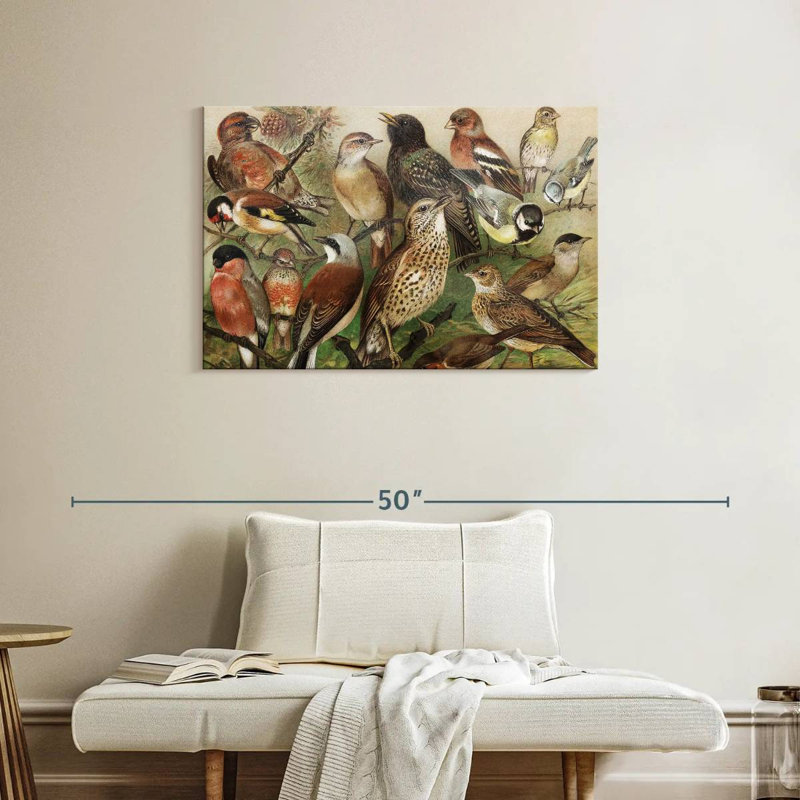 Brampt Botanical Birds Collection I, 24" H x 36" W