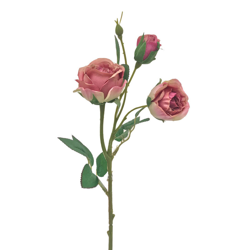Arrangement de roses