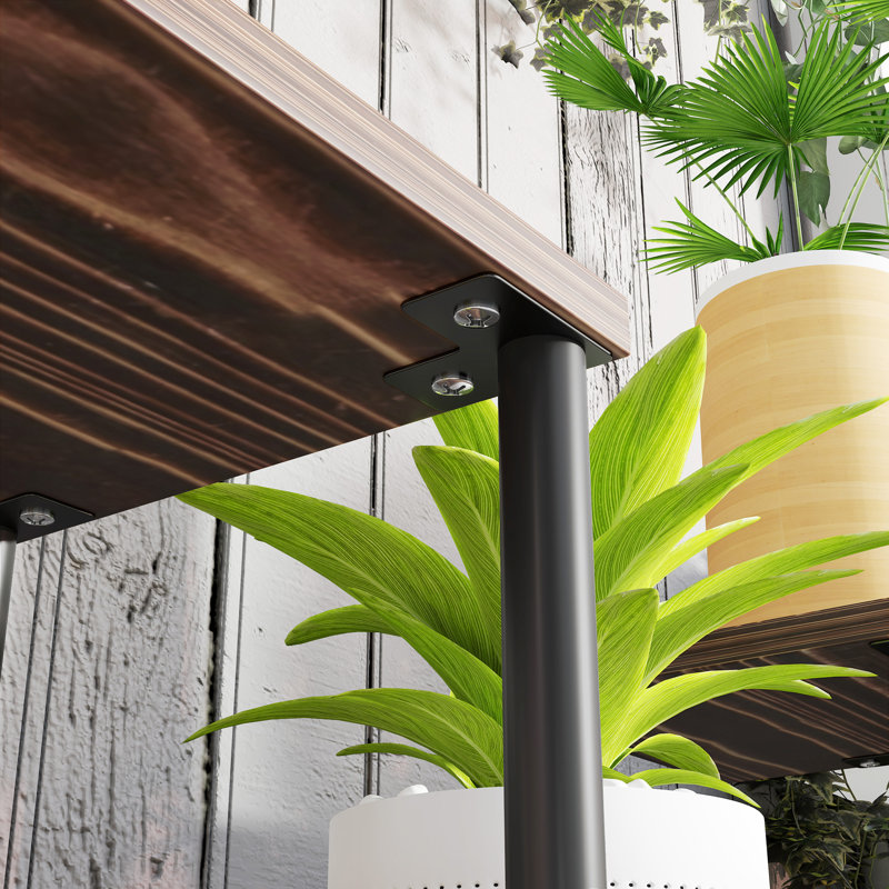 Plant Stand