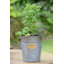 Cassandra Metal Cachepot-1498143597