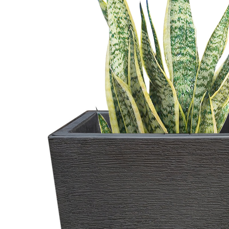 Vanatta Pot Self-Watering Planter, 22.5'' H x 11.8'' W x 11.8'' D