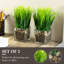 Ensemble de 2 pots d'oignons artificiels dans un vase