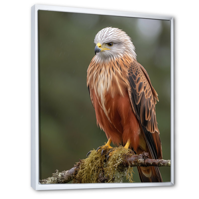 " Portrait Of Eagle Nature Photography I ", 40" H x 30" W x 1.5" D, White Floater Framed