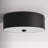 Aujanae 2 -Light 12" Flush Mount-1707079515