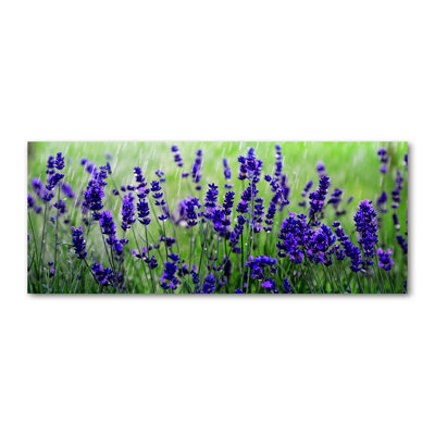 Lavender - Wrapped Canvas Print