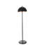 Raynier - Light Pendant-681029298