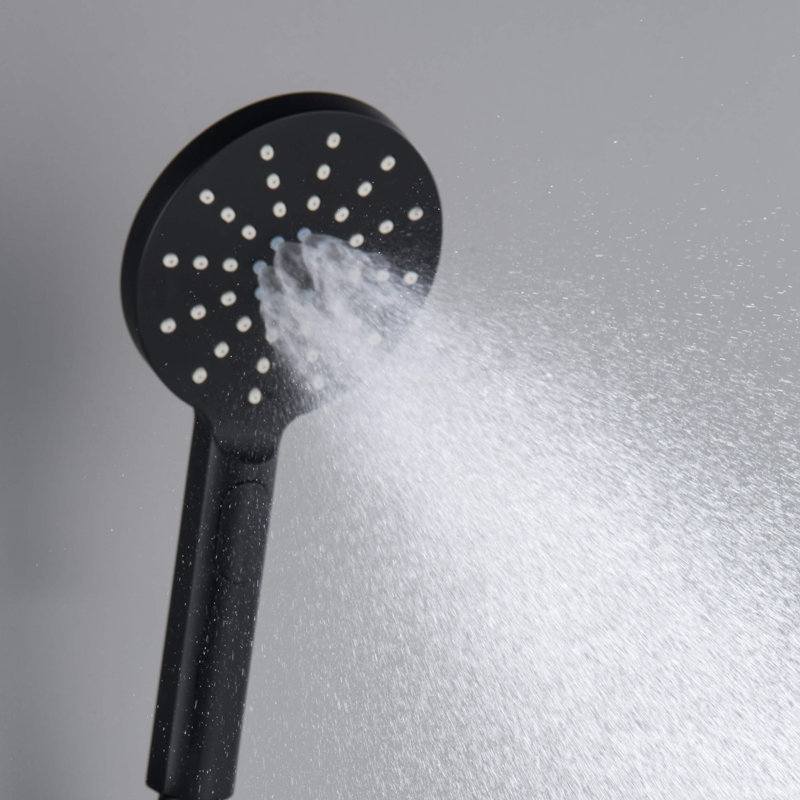 Full/Standard Handheld Shower Head 1.75 GPM GPM, Matte Black