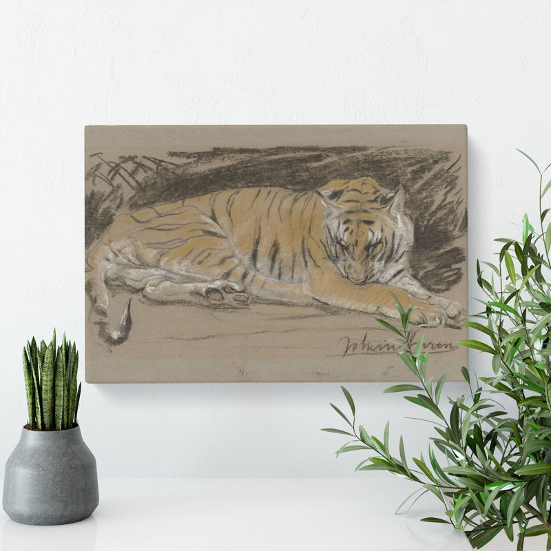 Study Of A Tiger Vol.1 by John Macallan Swan - Wall Art, 35cm H x 60cm W x 3cm D, Wrapped Canvas