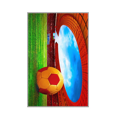 Tapis d'entrée antibactérien, 31,5 po x 59,1 po | 100% polyester, hauteur des poils de 0,4 po, envers en feutre de PVC antidérapant | Lavable à la machine, impression numérique 3D | Durable et élégant pour le vestibule, le salon ou la chambre à coucher